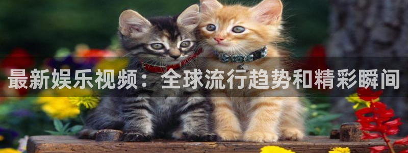 杏鑫娱乐：最新娱乐视频：全球流行趋势和精彩瞬间
