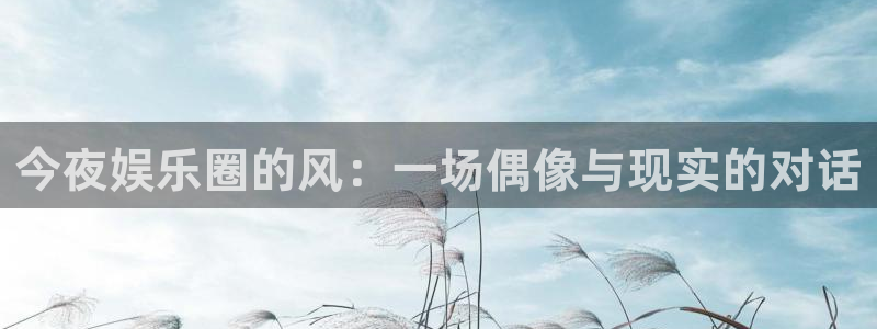 杏鑫娱乐：今夜娱乐圈的风：一场偶像与现实的对话