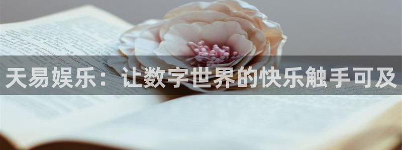 杏鑫娱乐：天易娱乐：让数字世界的快乐触手可及