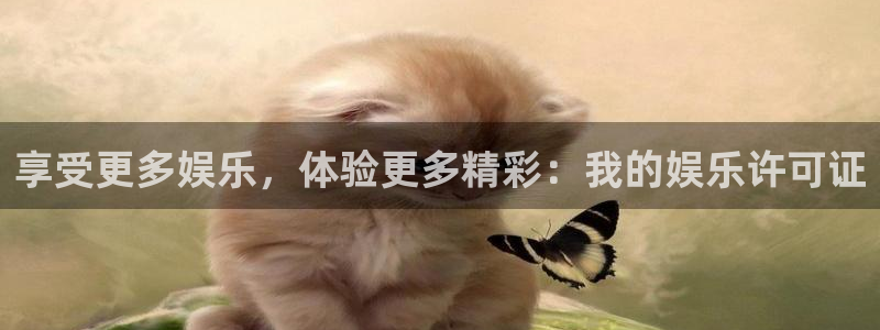 杏鑫娱乐：享受更多娱乐，体验更多精彩：我的娱乐许可证