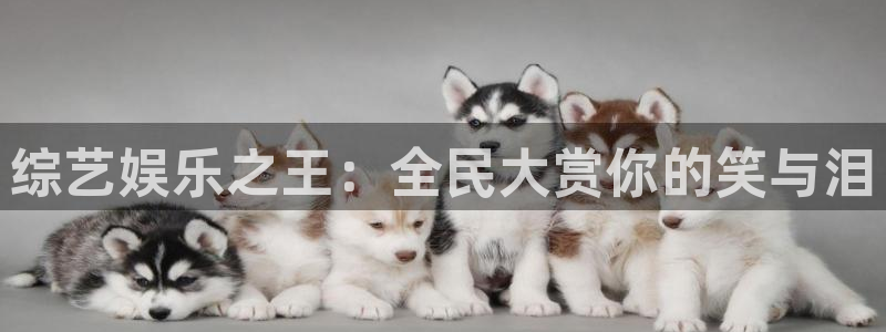 杏鑫娱乐：综艺娱乐之王：全民大赏你的笑与泪