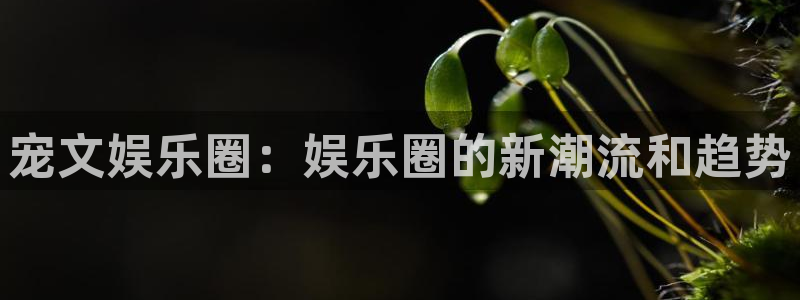 upload/20250701114914.jpg